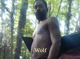 wolf Porn str8