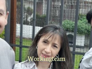 Workingteam
