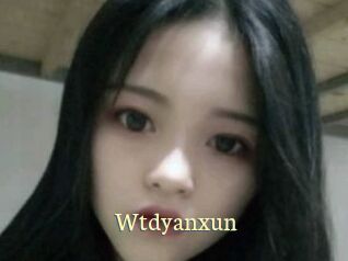 Wtdyanxun