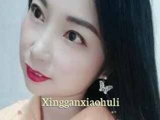 Xingganxiaohuli