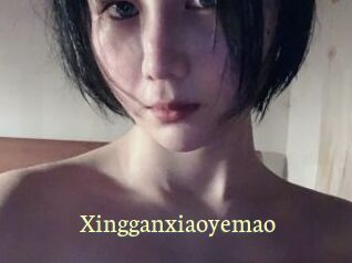Xingganxiaoyemao