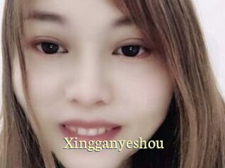 Xingganyeshou