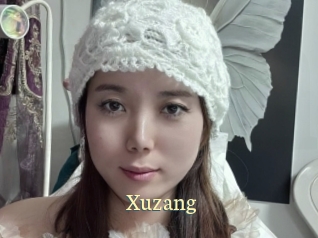 Xuzang