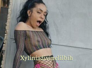 xyliniadivinelilbih Porn str8