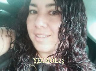 YECAOL23