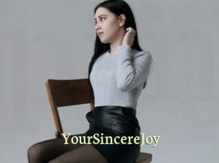 YourSincereJoy Porn str8