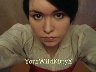 YourWildKittyX Porn str8