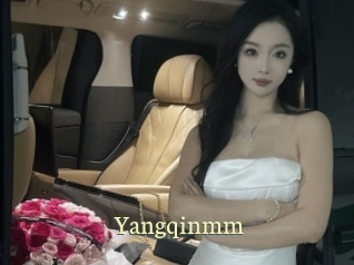Yangqinmm