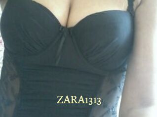 ZARA1313