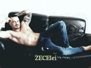 ZECElei