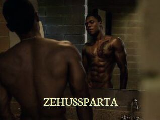ZEHUS_SPARTA