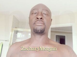 Zachary_Morgan Porn str8