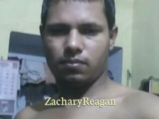 Zachary_Reagan Porn str8