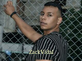 ZackVidal Porn str8