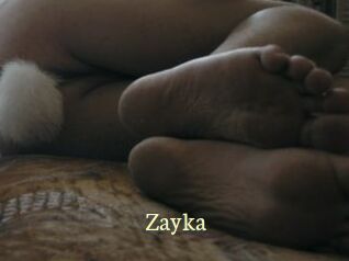 Zayka