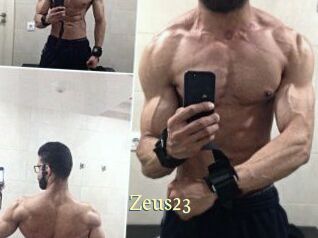 Zeus23