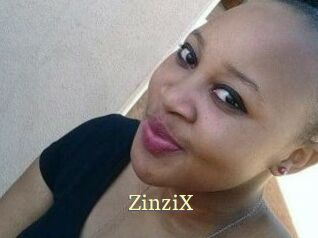 ZinziX