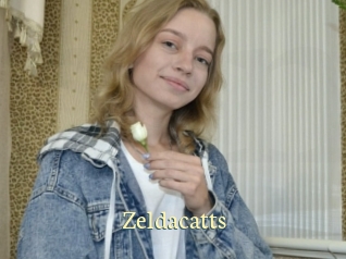 Zeldacatts