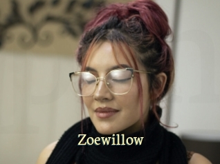 zoewillow Porn str8
